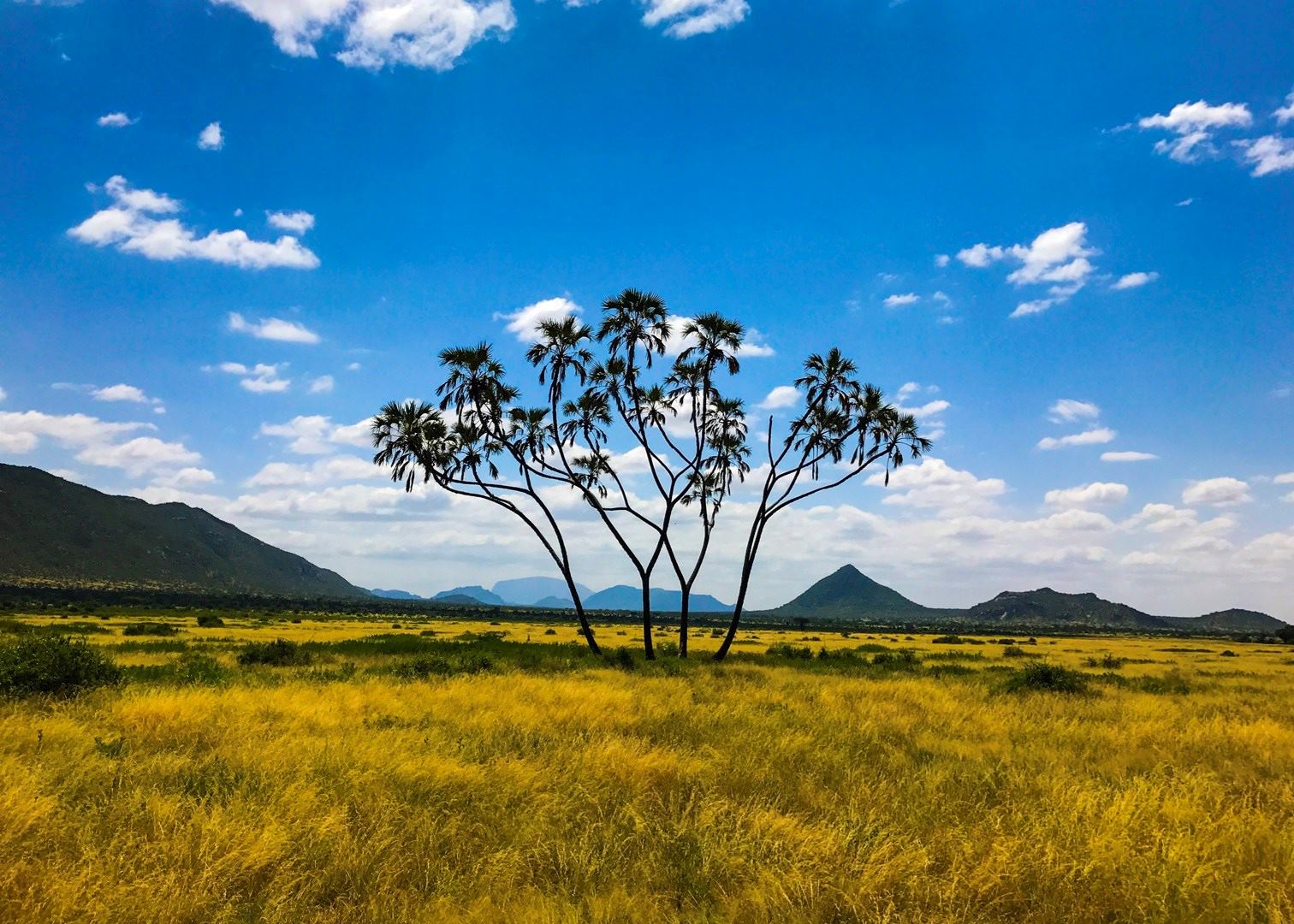 1346333-samburu-national-reserve