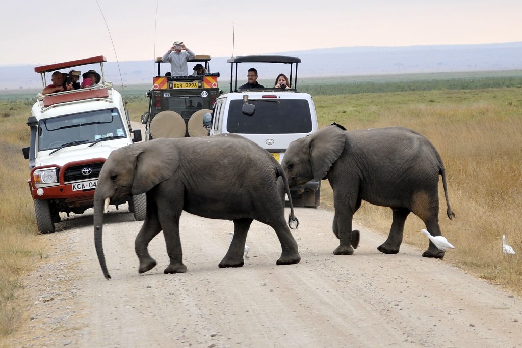 Activities-to-do-in-Amboseli-National-Park-1024x684