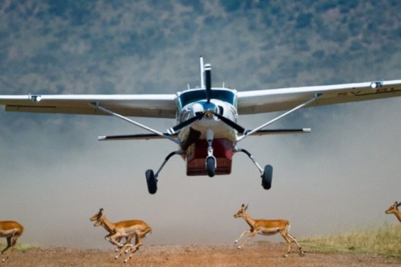 13 Day East Africa Luxury Air Safari