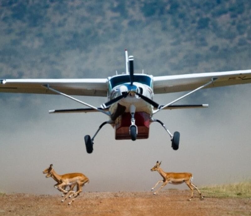 13 Day East Africa Luxury Air Safari