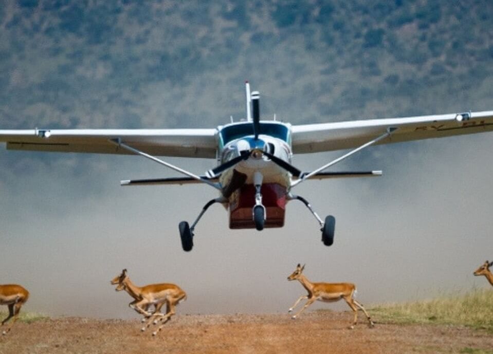 13 Day East Africa Luxury Air Safari