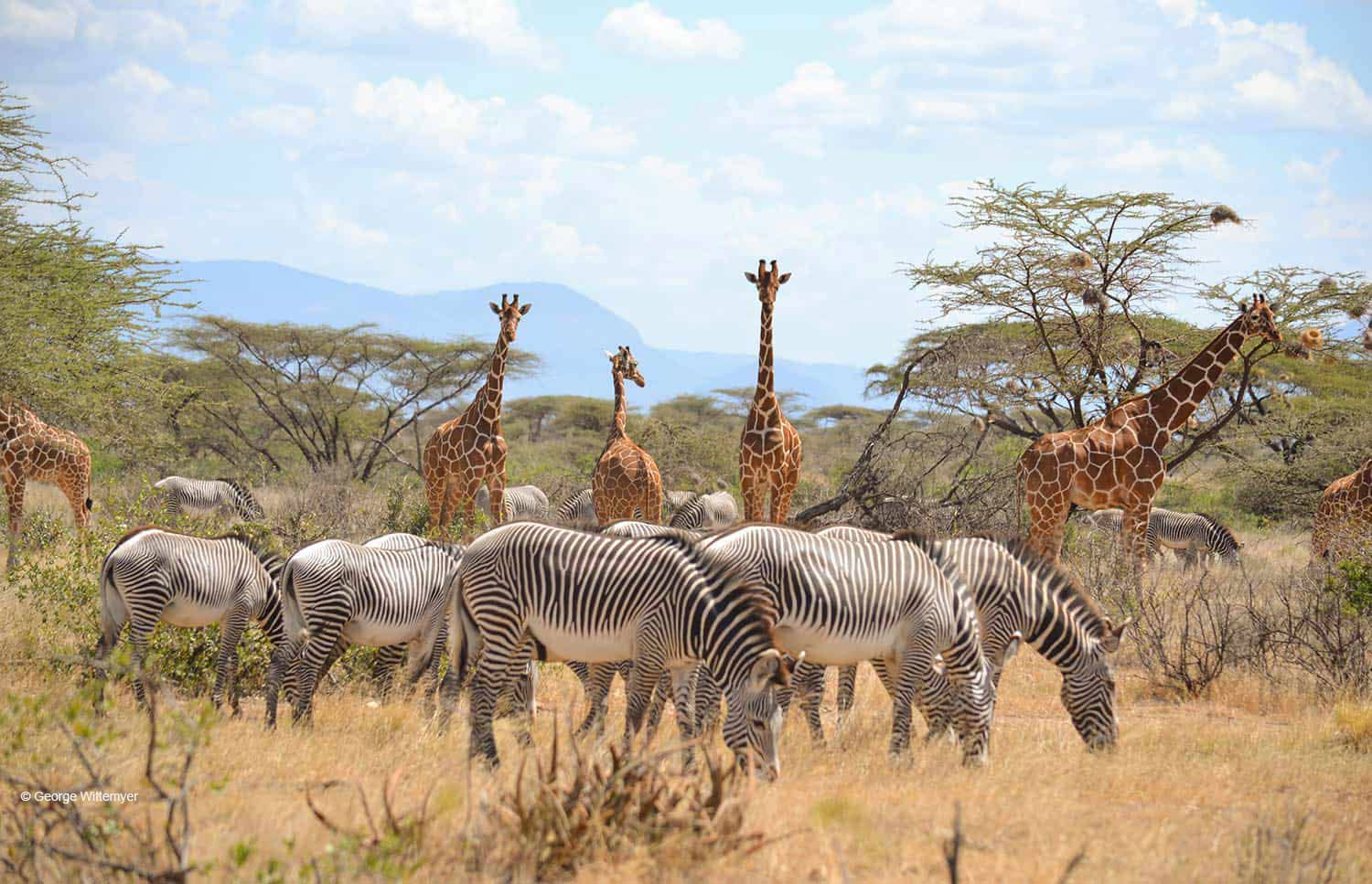 Samburu-National-Park