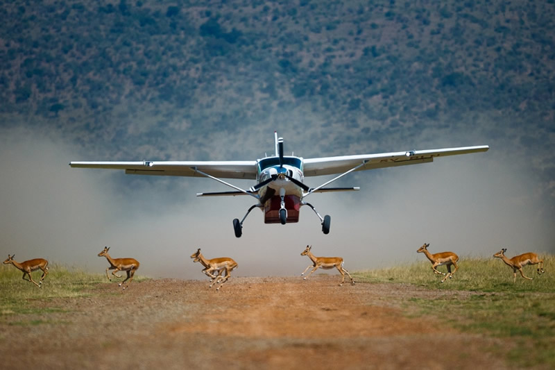 8 Days Luxury Air Safari