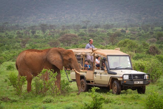 https://www.uniqueworlddestinations.com/wp-content/uploads/2024/09/elephant_bedroom_camp_-_samburu_45_-1-640x427.jpg