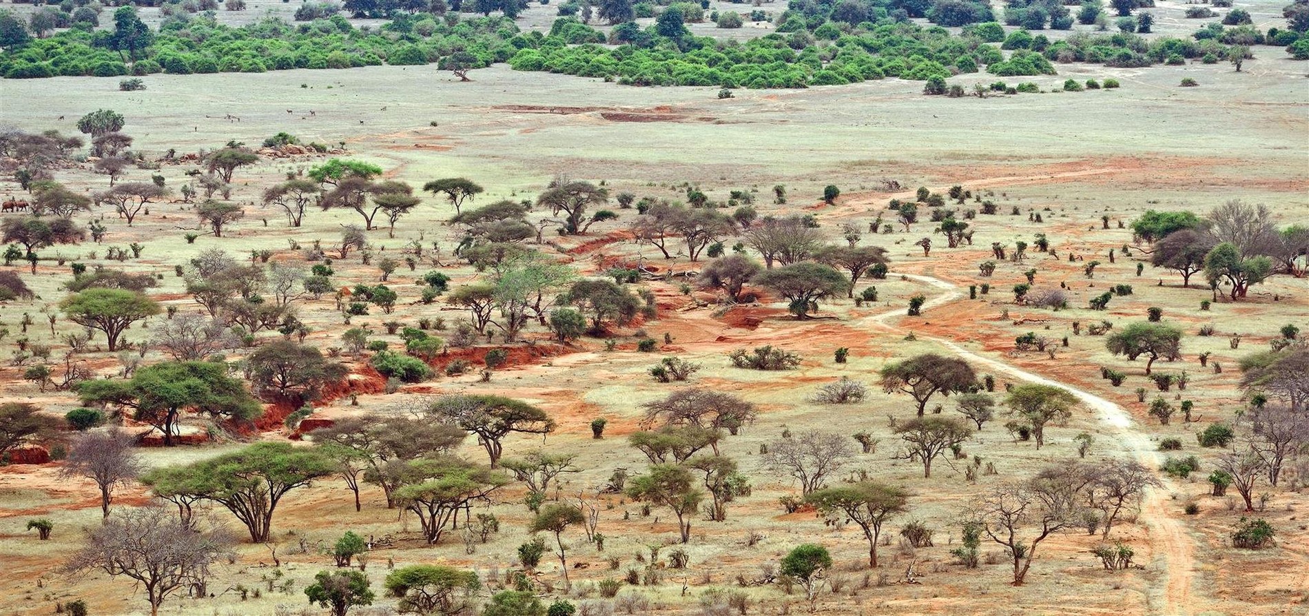 landscape-tsavo-national-park-kenya-jpg