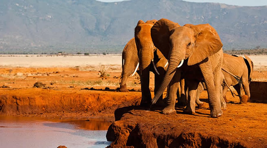 Tsavo West and Tsavo East National Parks - Unique World Destinations ...