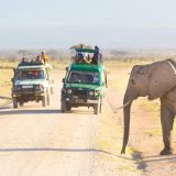 https://www.uniqueworlddestinations.com/wp-content/uploads/2024/10/amboseli_national_park-shutterstock-448154665-160x160.jpg