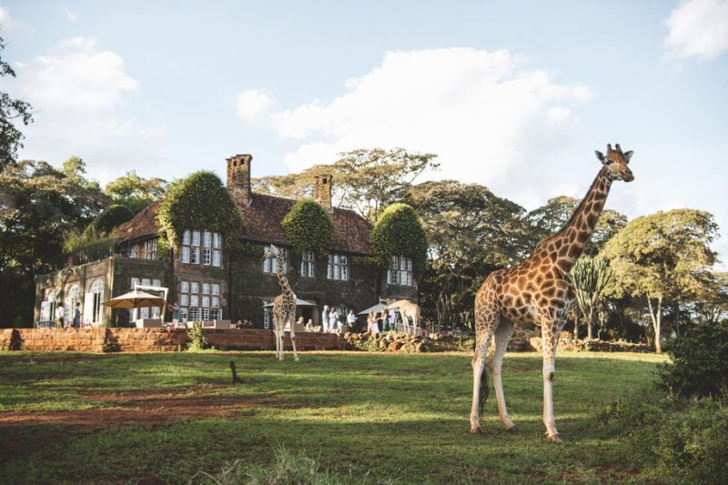 Magnificent Kenya - Luxury Safari 08 Days, 07 Nights - UW