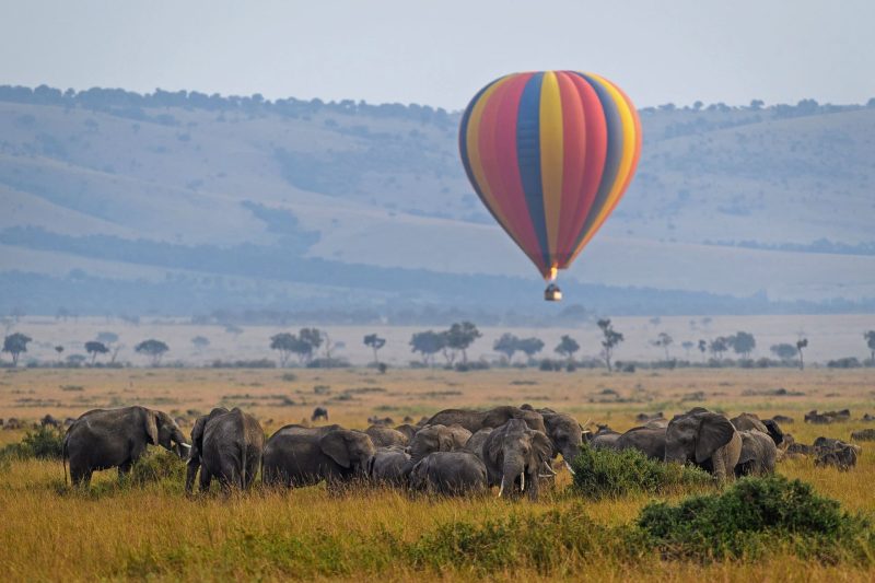 Hot Air Balloon Safari in Masai Mara